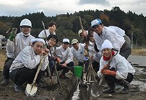 2012年11月9日