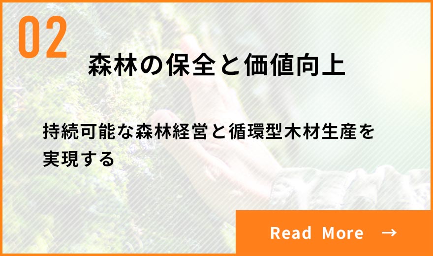 森林の保全と価値向上